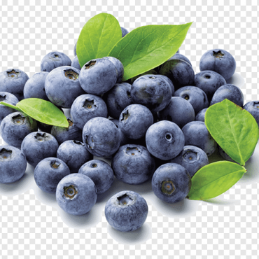 Organik Yaban Mersini (Dondurulmuş ürün)