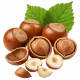 Fındık Ürünleri